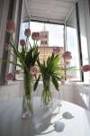 Contemporaneo Rooms